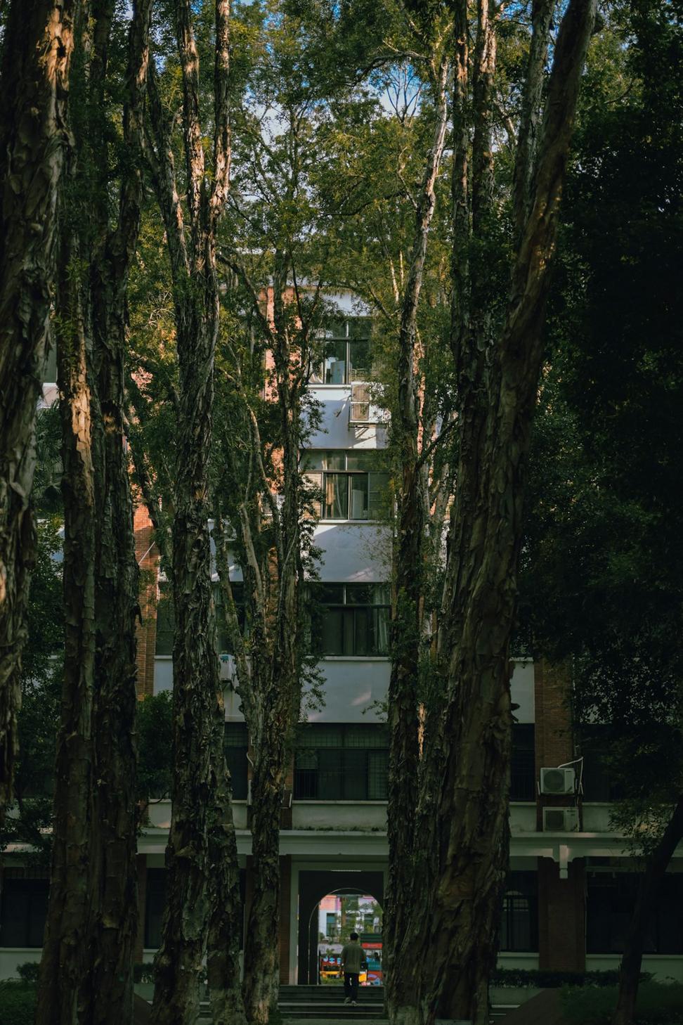 Urban Infill Design