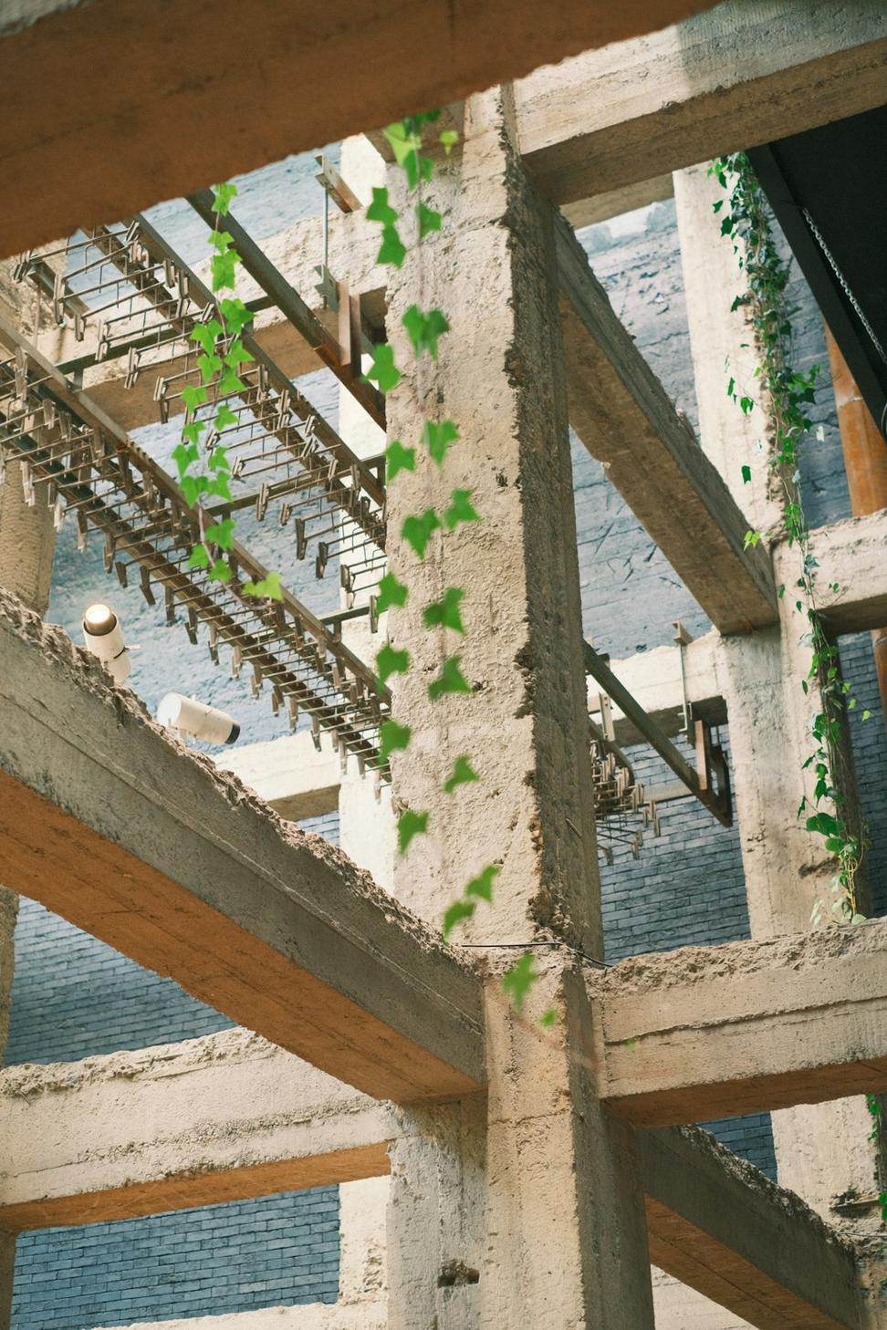 Contemporary Sustainable Architecture